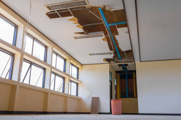 Water damage restoration mold remediation in FL