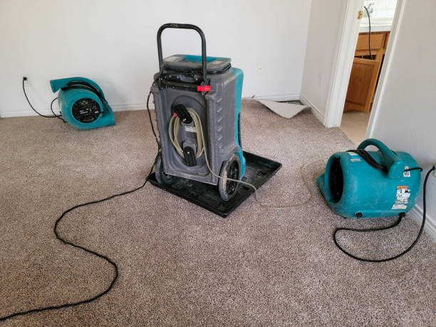 Best Flood restoration services  in Midway, FL