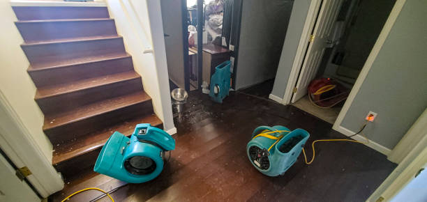 Best Emergency water damage restoration  in Midway, FL