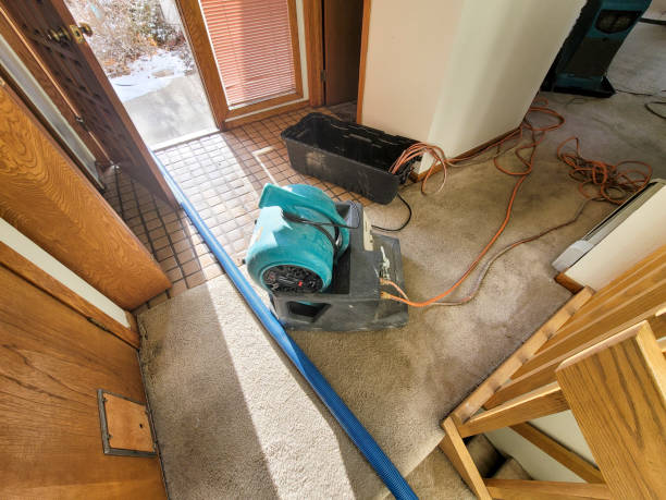 Best Local water damage restoration  in Midway, FL