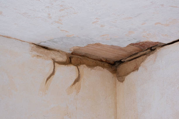 Best Water damage restoration mold remediation  in Midway, FL