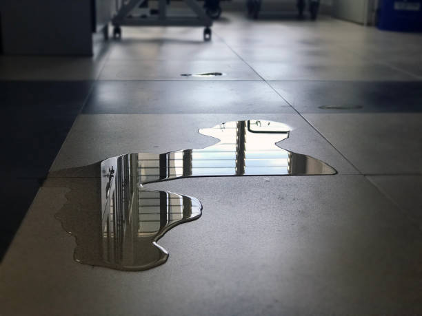 Best 24/7 water damage repair  in Midway, FL