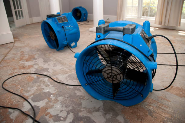 Best 24-hour water damage restoration  in Midway, FL