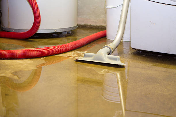 Best Sewage cleanup and water damage restoration  in Midway, FL