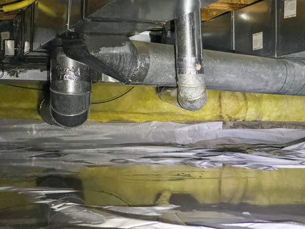 Best Water damage contractors near me  in Midway, FL