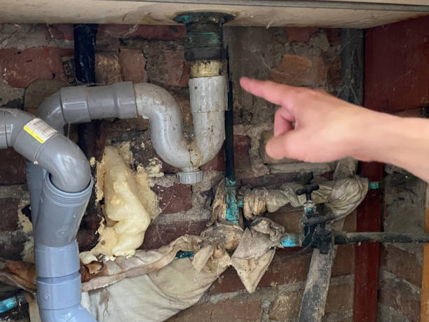 Best Flooded house restoration  in Midway, FL